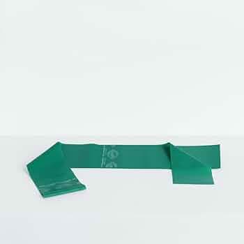 TheraBand Professional Latex Resistance Band Loop for Lower Pilates, Crossfit, Yoga, Toning, Stretching, Physical Therapy, Strength Training Without Weights, Portable Fitness, and Core Fitness (Green)