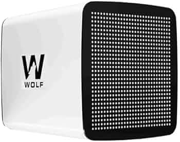 MM Air Purifier with Ionizing For Lab Certified Indoor Pollution Control – Also Eliminates Harmful Virus, Bacteria, Mold, Fungus and Other Pathogens (Pollution Control Version, 500 feet coverage)