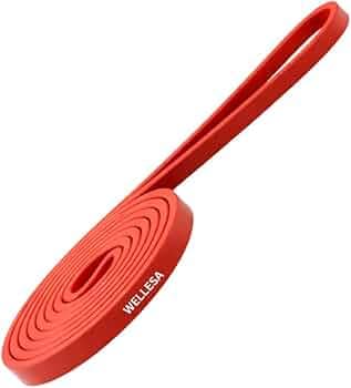 Wellesa Resistance Bands for Workout – Wellesa Heavy Resistance Band, Gym Resistance Bands for Exercise, Pull Up Assistance Loop Bands, Fitness Bands for Heavy Workout, Men & Women (Red 7-15Kg)