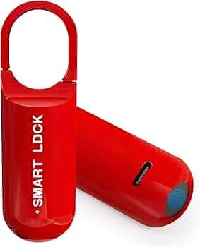 Auslese® Mini Smart Fingerprint Padlock USB Rechargeable Biometric Keyless IP65 Waterproof Thumbprint Padlock for Locker, Luggage, Gym, Suitcase