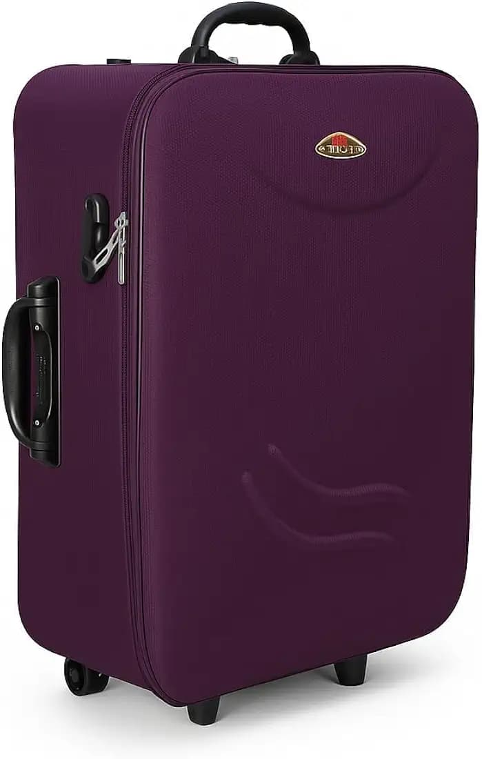 Trolley Bag Suitcase for Travel 24 Inch | 3 Wheel Skatable Luggage | Lightweight Cabin Luggage | Durable Hard/Soft Travel Bag | Rolling Travel Case for Men Women (Purple)