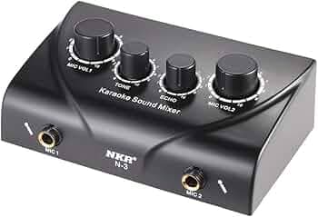 Portable Karaoke Sound Audio Stereo Echo Mixer Dual Microphone Inputs with RCA Cable Power Adapter for TV PC Smartphone Amplifier