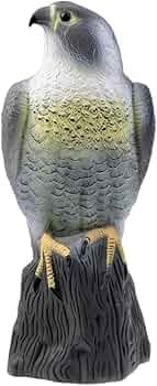 Lifelike 3D Eagle Outdoor Decoy - Bird Pigeon Scarer Scarecrow| Sports Equipment | Outdoor Sports Gear | Exercise Gear