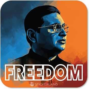 STICKERLAND Bose Freedom Fighter Vinyl HD Quality Multicolor Waterproof PVC Sticker for Laptop, MacBook, Mobile Phone, Refrigerator, Notebook, Guitar, Journal, Kids & Adults (Pack of 1)