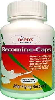 Pigeon Flying Recovery Recomine Caps || Fatigue Remove and Energic Formula for Kabootar Flying (100-Capsule)