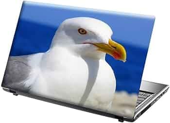 CVANU Decorative Laptop Skin/Protective Cover/Sticker for All Laptop, Bird Theme, Pigeon (Multicolour, 15.6 Inch)