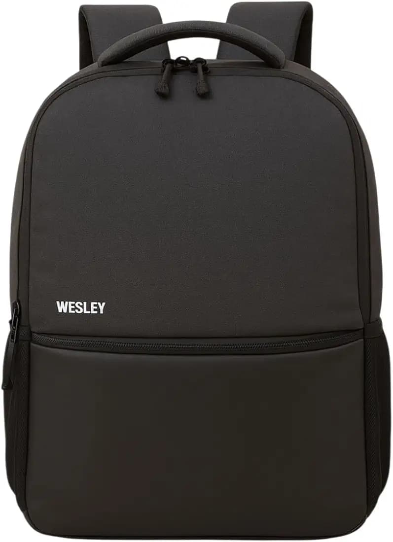 Wesley Vintage Milestone Travel Laptop Backpack with 15.6 inch Laptop Compartment business/Office/School/college/Travel/Gifting Backpack for men and women