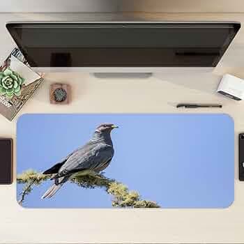 Gadgets WRAP Extra Large Desk Mat Mouse Pad 12 x 32 Inch, Anti-Slip, Spill-Resistant, Ideal for Home, Office, Gaming Setups - Bird Pigeon