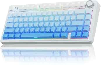 Aula F75 Mechanical Keyboard Gaming, 2.4 GHz/Type-C/BT5.0 Wireless Gaming Keyboard 75 Percent, Side Engraved, Structure of Seal, Hot Swappable Wireless Keyboard RGB (Blue with Colour Gradient)