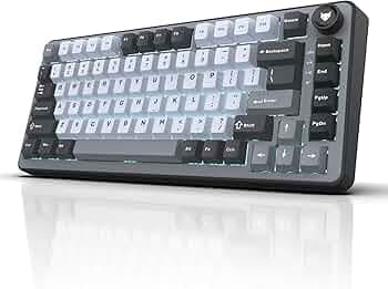 EvoFox Ronin X75 Tri-Mode Gaming Mechanical Keyboard Wireless | Gasket Mount, 5 Layer Sound Dampening, Hot Swap GTMX White Linear Switches,1000Hz Polling, Programmable, Muliti OS Web Software, Mac Key Caps