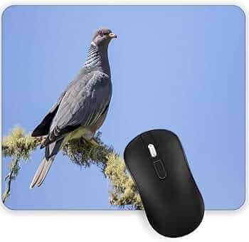 Gadgets WRAP Gaming Mouse Pad 7.5 x 9 Inch, Anti-Slip, Spill-Resistant, Ideal for Home, Office, Gaming Setups - Bird Pigeon