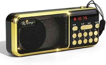 WRENS 5W Wireless Bluetooth Speaker with Built-in Mic Calling, FM Radio, USB/TF Card, Powerful HD Sound & Bright LED Screen