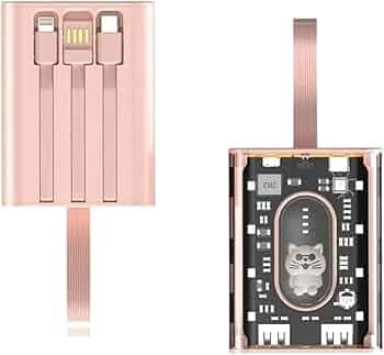 10000mAh 4 Wire Transparent Power Bank with Type-C & Micro USB Input, Dual USB Output Portable Charger for Mobile, Tablet, Earbuds – Pink