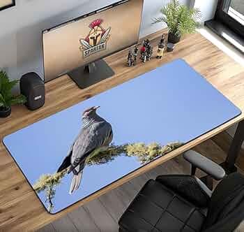Gadgets WRAP Extra Large Desk Mat Mouse Pad 18 x 36 Inch, Anti-Slip, Spill-Resistant, Ideal for Home, Office, Gaming Setups - Bird Pigeon