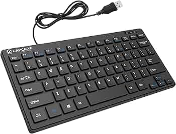 LAPCARE D-Lite Black Mini Wired Keyboard – 87 Key Compact USB Keyboard with Multimedia Fn Keys, Quiet Chocolate Keycaps, UV Coating, 8 Million Keystroke Life - Plug & Play for PC/Laptop (Black)