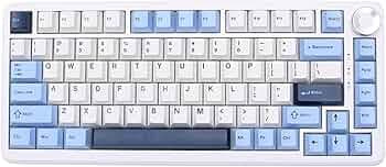 URX x AJAZZ AK820 MAX Plus Wireless RGB Mechanical Keyboard | 75% Hot Swappable Pre-Lubed Switches, Bluetooth 5.0 USB-C | Gaming Keyboard for Windows Mac | 8000mAh Battery | Glacier Blue