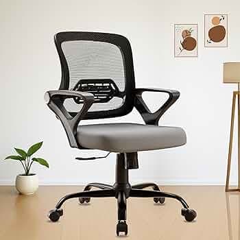 Ergolux Mid Back Ergonomic Mesh Chair for Home Office & Students, Adjustable Height, Lumbar Support, Cushioned Seat, Revolving Design with Tilt Lock and Heavy Duty Base, 3 Years Warranty Grey