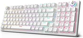 EvoFox Katana X2 FS Mechanical Gaming Keyboard | 3‑Pin Replaceable Silent Red Switches, Dynamic Backlighting, All Keys Anti‑Ghosting, Volume Knob, Copilot, Xbox Gamebar, Screenshot & More (White)